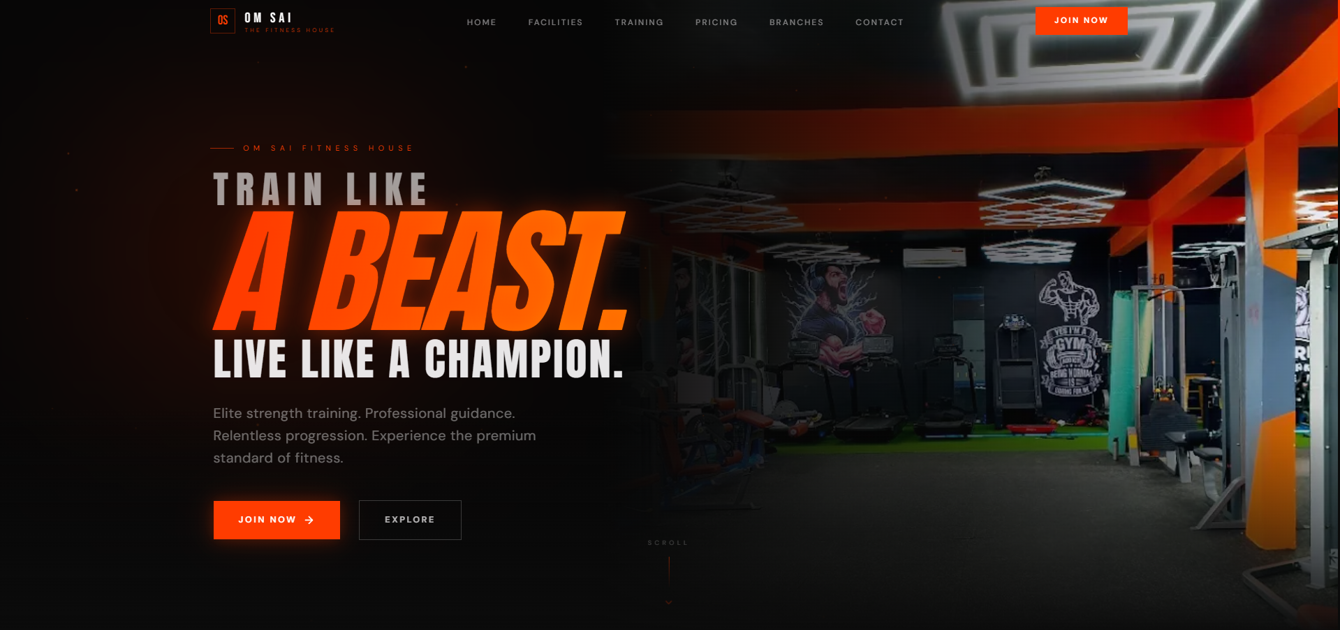 Website homepage screenshot